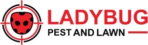 logo lady bug