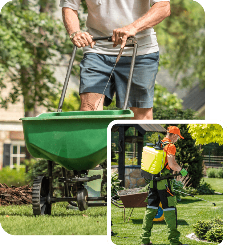 lawn mowing